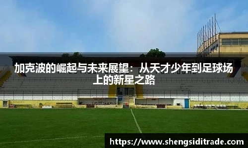 雷火电竞app
