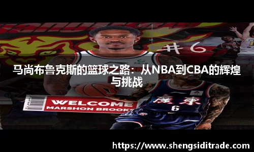 马尚布鲁克斯的篮球之路：从NBA到CBA的辉煌与挑战